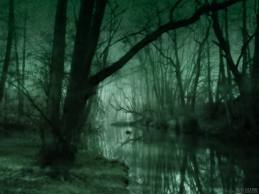 NORTHERN SWAMP.jpg