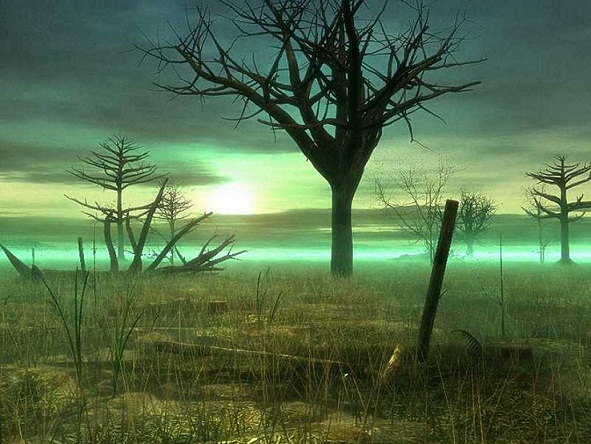 THE HANGING TREE.jpg