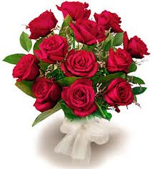 ROSES FOR PHILOMENA.jpg