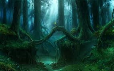 Haunted Wood.jpg